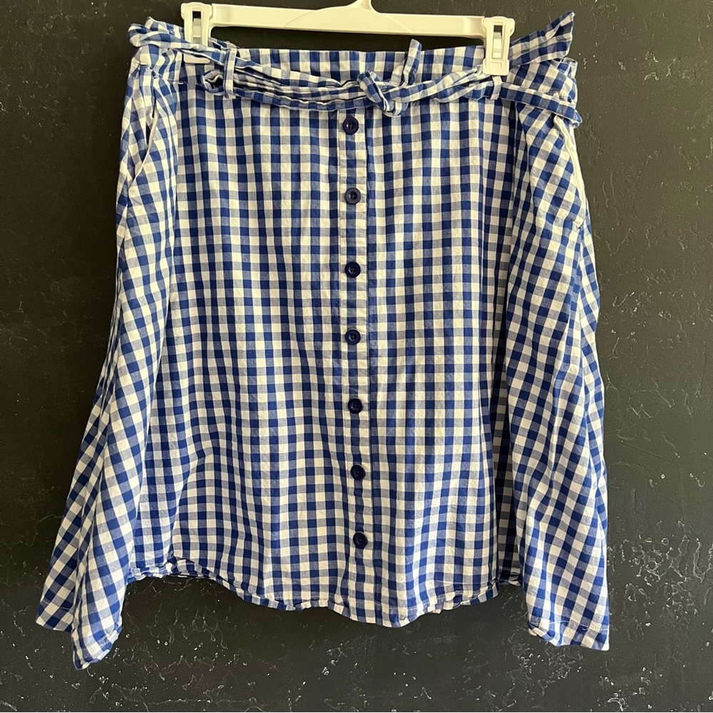 Modcloth Blue and White Gingham Skirt
